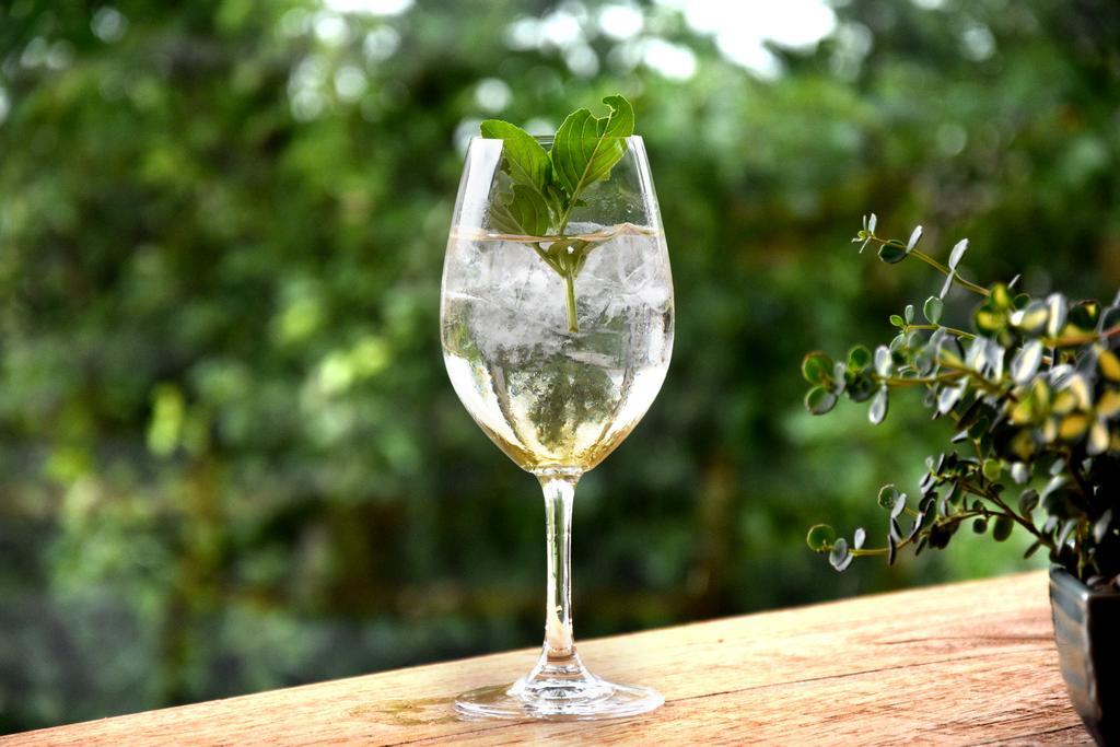 Wellnessgarten-Hotel Waging am See Ngoại thất bức ảnh